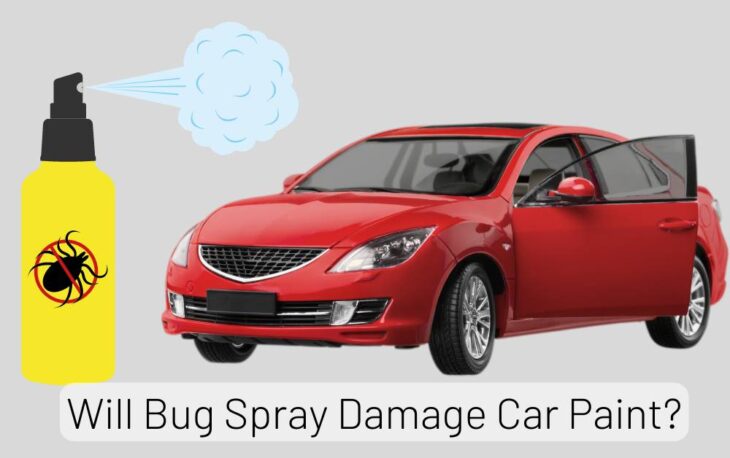 Will Bug Spray Damage Car Paint?